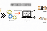 Supervised Learning