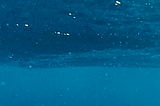 Why I know you can swim