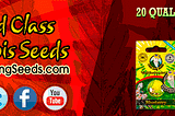 Crop King Seeds Discount Coupon