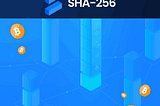 Sha256 Mining Company: