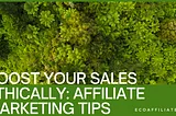 Eco-Friendly Affiliate Marketing: Ultimate Beginner’s Guide to Ethical Profits