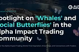 App Release 5.6 | ‘Find the Whales’ and ‘Social Butterflies’ in the Alpha Impact Trading Community