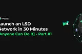 Launch an LSD Network in 30 Minutes [Anyone Can Do It] Part #1