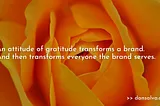 The world desperately needs more gratitude. Your brand can help.