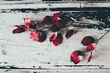 dying flower petals lying on a piece of painted wood