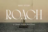 Roach Font