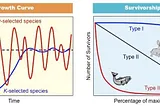 What is the r/k selection theory?