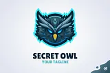 Secret Owl Cover Image 1