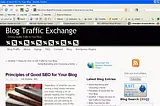 "Principles of SEO" Post at Blog Traffic Exchange