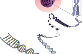 Nussinov’s RNA Folding Algorithm