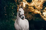 White Horse