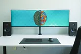 What is the best size monitor for a dual setup?