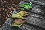 A Year in the Gardener’s Laughing Gloves