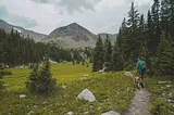 Hiker and canine companion on a trail.