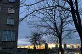 An image of a cloudy sunset. Part of a apartment building is seen on the left edge, while trees start at the right edge and go into the distance. More apartment buildings are seen far away The photographer is standing on the sidewalk, between the bike lane and road where cars are driving.