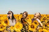 Three laughing girls in a field of sunflowers