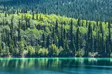 A Comprehensive Guide to Setting Up Local Kubernetes Clusters with Kind