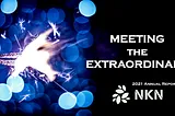 NKN Annual Report 2021: meeting the extraordinary