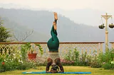 “From Pose to Pose: The Beauty of Vinyasa Flow Yoga”