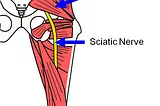 A chiropractic adjustment reset my appetite?