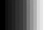 Shades of Grey