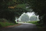 A photo taken from afar of a runner going down a path with lush trees and green.