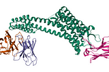 Structure of AT118-L Nanobody Antagonist in complex with the Angiotensin II Type I Receptor.