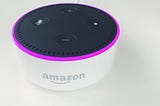 I Will Never Buy My Partner an Alexa