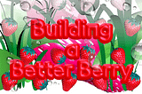 Building a Better Berry