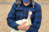 A person in a blue flannel shirt, mask, and hat holds a cute young white turkey who seems to be looking at the camera