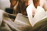 Who Would We Be Without Books?