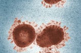 Separating the Facts From the Misinformation About COVID-19