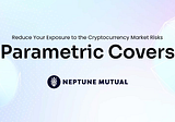 Neptune Mutual — Reducing your exposure to crypto market risks