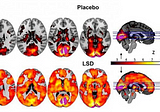 ‘Psychedelic’ derives from the Greek words for ‘mind manifesting’