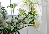 Flower Power: The Positive Impact of Flowers on Your Home
