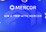 Welcome to Mercor Airlines