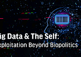 Big Data and The Self: Exploitation Beyond Biopolitics