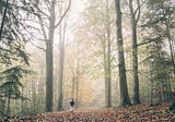 Playing in Forgotten Woods