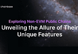 Exploring Non-EVM Public Chains Unveiling the Allure of Their Unique Features