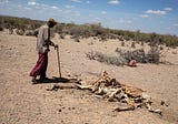 As famine looms over horn of Africa, calls for help fall on deaf ears