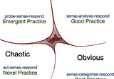 Utilizing the Cynefin Framework Within a Healthcare Setting