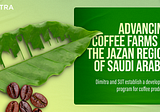 Advancing Coffee Farms in the Jazan Region of Saudi Arabia