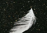 Exploring the Spiritual Meaning of Grey and White Feathers