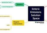 Tackling enteric emissions part 2: mapping the solution space