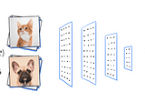 Deep Learning : Simple Image Classification using Convolutional Neural Network (Dog and Cat…