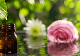 Scented Sanctuary: Essential Oils to Combat the Winter Blues