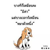 Pa Panin