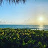 Florida Beach Break