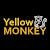 Yellow Monkey