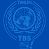 Training And Academic Affairs TIMUN TBS